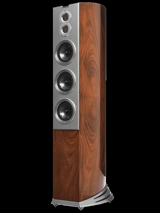 AUDIOVECTOR R 10 Arreté i African Mahogany Crotch