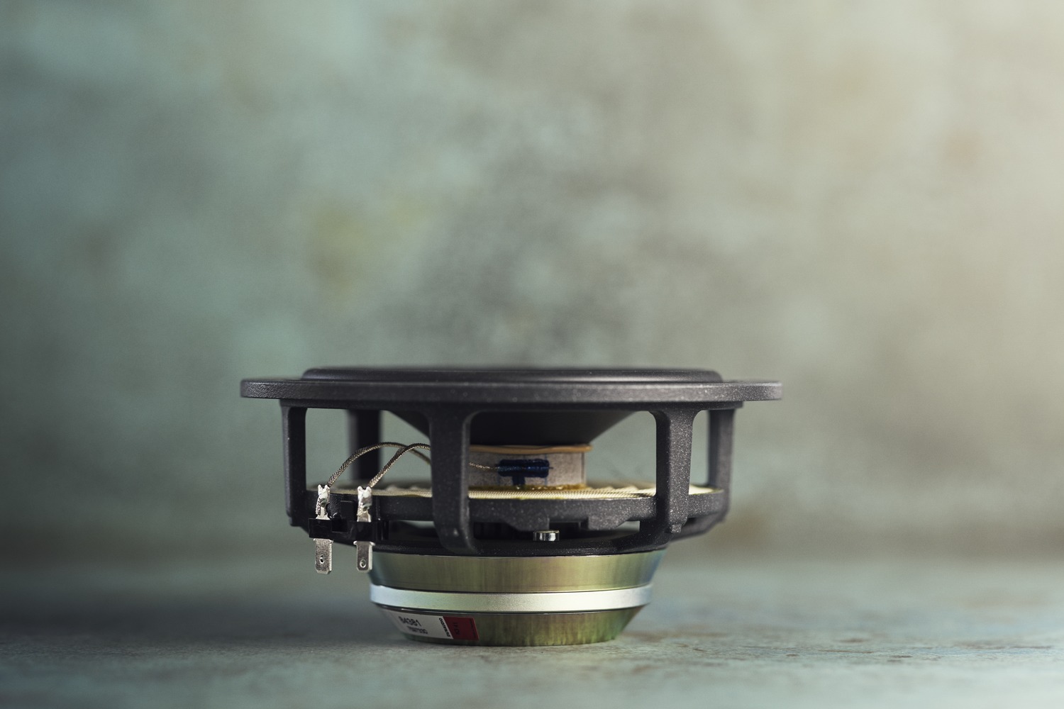 dynaudio-contour-60i-midrange