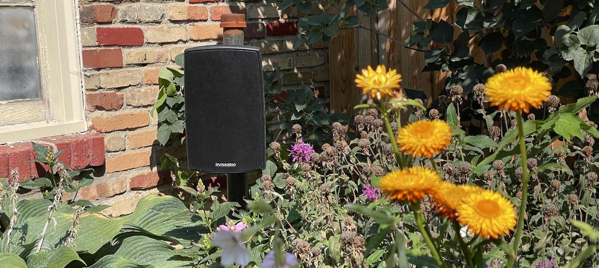 Dynaudio udendørshøjttalere