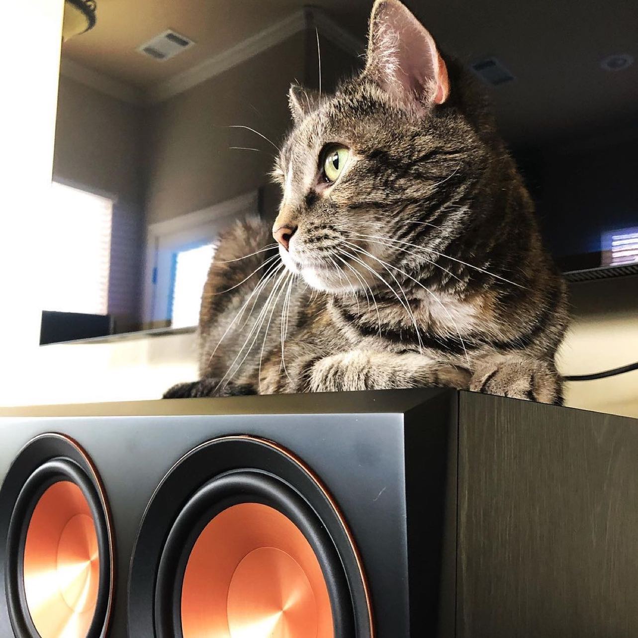Klipsch
